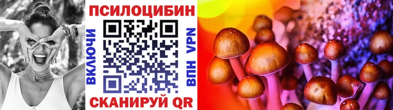 Галлюциногенные грибы Psilocybe Котельнич